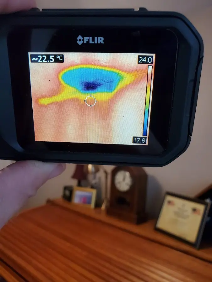 Thermal imaging inspection for water damage in Georgetown