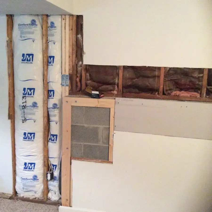 Wall insulation replacement during Odor Removal & Deodorization in Georgetown